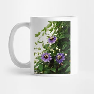Purple Haze Passifloras Mug